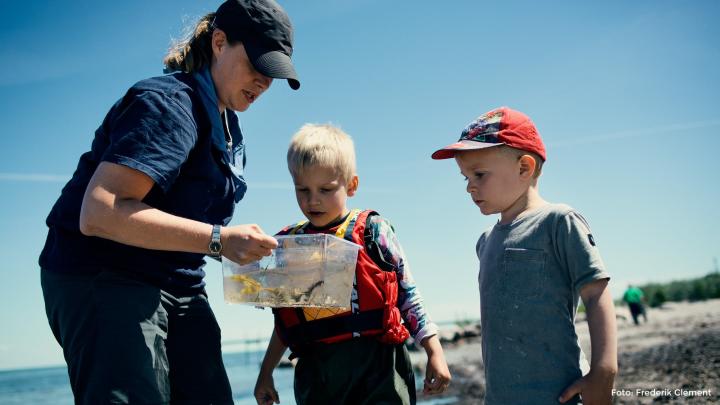 Familie spejd ( 3 år til de begynder i 0 Klasse